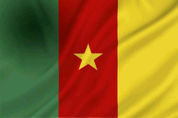Vlag Kameroen - 100x150cm Spun-Poly
